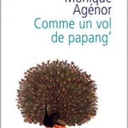 Comme un vol de papang'
